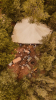 Bohemian Wedding / Bruiloft