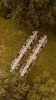 Bohemian Wedding / Bruiloft