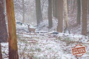 outdoors-holten-reeen-2