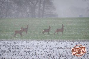 outdoors-holten-reeen-2